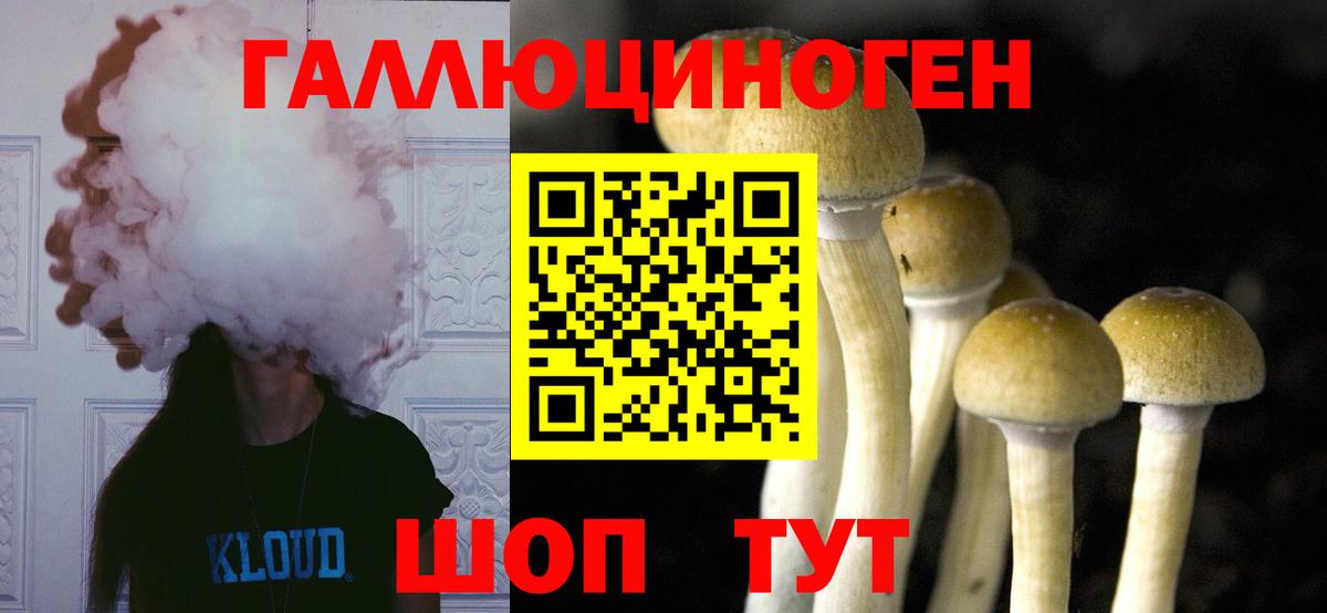 Галлюциногенные грибы Magic Shrooms  Вход с VPN  Галлюциногенные грибы мухоморы  Приморско-Ахтарск 